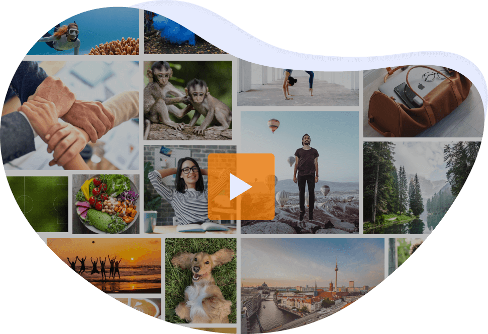 Verschiedene Stockfotos, darunter Landschaften, Menschen, Tiere und Reisen, im E-Mail-Builder verfügbar.